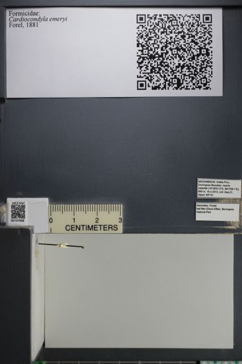 Media type: image;   Entomology 737998